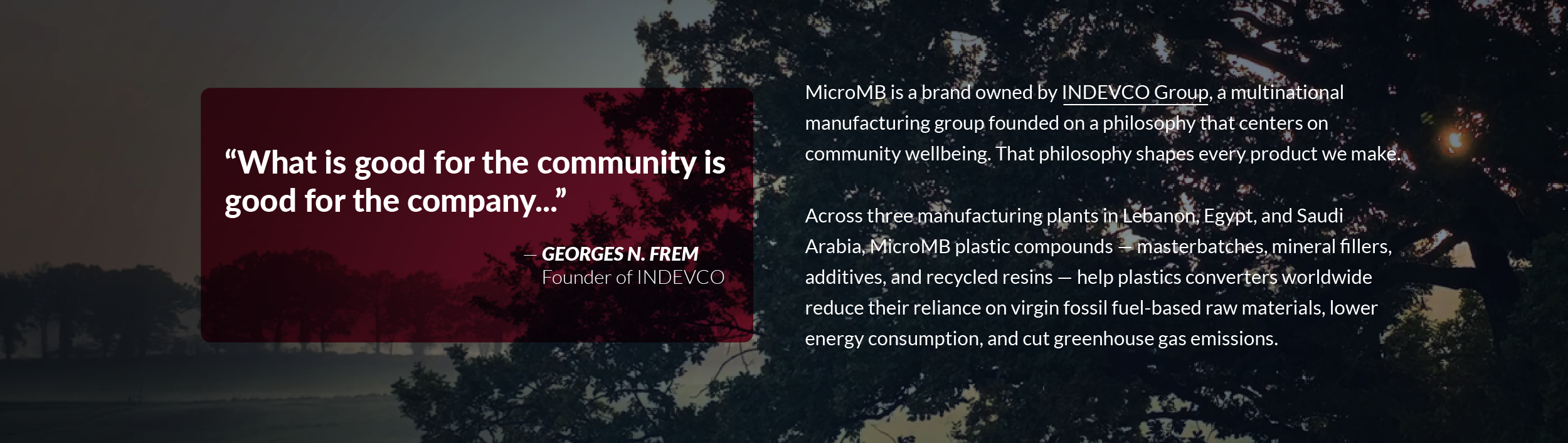 MicroMB philosophy and INDEVCO Group community wellbeing statement.