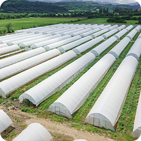 Agriculture, Horticulture & Animal Feed